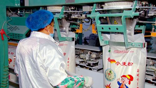 泰州泰興農產品加工園區 培大育強食品企業，聚力打造‘鮮食之都’與特色酒類產業新高地